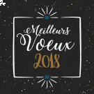 Bonne Année 2018 Bonne Année 2018