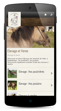 Création Sites internet smartphone