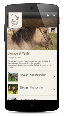 Sites internet sur smartphone