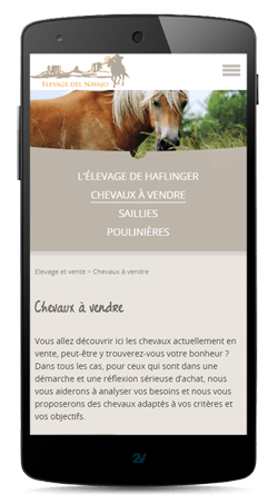 Création Sites internet smartphone