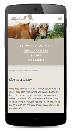 Sites internet sur smartphone