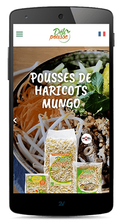 Sites internet sur smartphone Création Sites internet smartphone